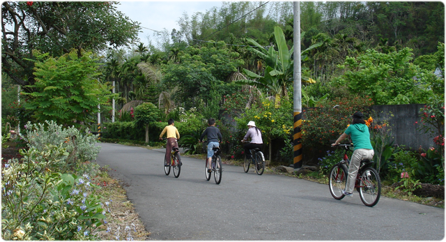 回家的路